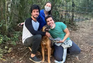 Cão foi encontrado na região Metropolitana de Curitiba