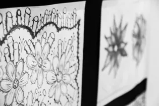 A artista desenha flores desde os 12 anos e decidiu mostrar a arte para a população de Irati
