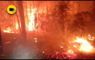 Imagem ilustrativa da imagem Bombeiros levam seis horas para controlar incêndio ambiental