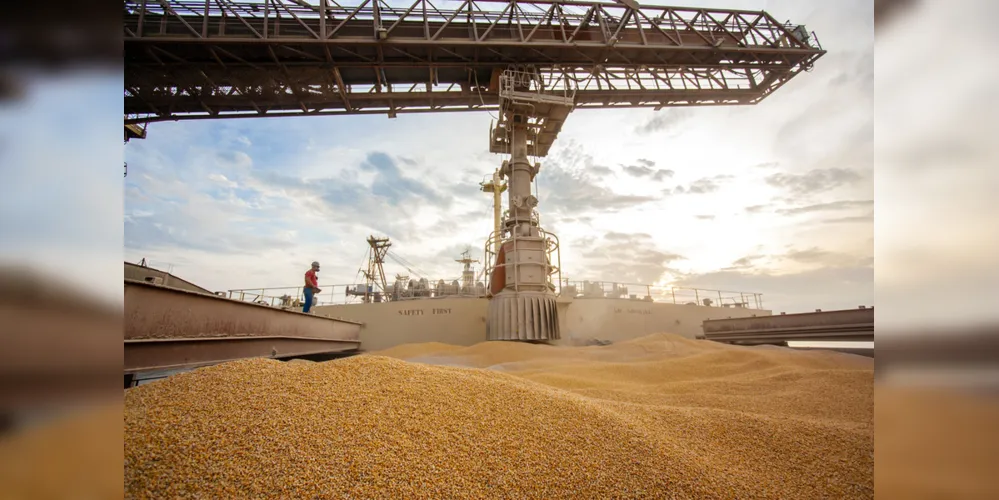 Imagem ilustrativa da imagem Governo zera tarifa de importação para soja e milho