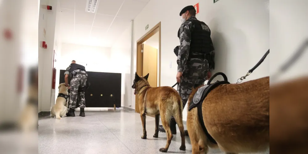 O novo treinamento tem como objetivo principal preparar mais de 30 cães policiais para encontrar, com precisão, novas drogas sintéticas que estão em circulação.