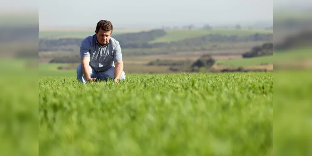 Fábio Schmidt, engenheiro e técnico em produção de cevada, diretor da empresa Protecta, faz o fomento do cultivo de cevada na região