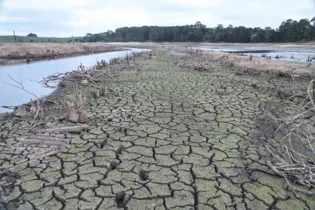 Seca grave está presente em 61,17% do estado. No último mês, o Paraná teve as priores condições da região sul do país