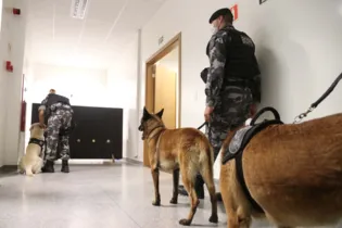 O novo treinamento tem como objetivo principal preparar mais de 30 cães policiais para encontrar, com precisão, novas drogas sintéticas que estão em circulação.