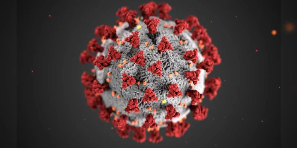 Imagem ilustrativa da imagem Infecção por covid-19 dá alguma imunidade, diz estudo