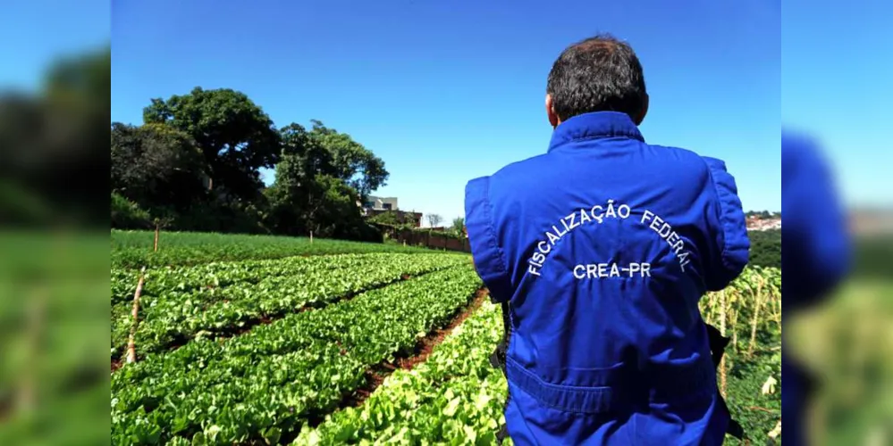Imagem ilustrativa da imagem Fiscalização das culturas agrícolas cresce 80% no PR