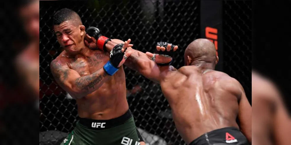 Imagem ilustrativa da imagem Brasileiro é nocauteado em disputa pelo cinturão do UFC