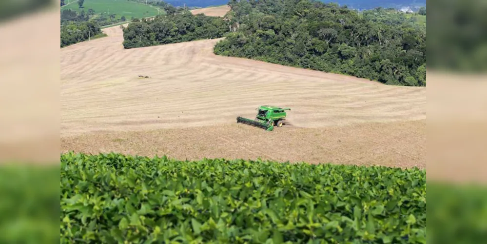 Excesso de chuva e estiagem foram os dois principais fatores para a quebra da colheita na Regional de Ponta Grossa