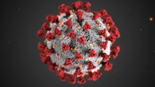 Imagem ilustrativa da imagem Infecção por covid-19 dá alguma imunidade, diz estudo