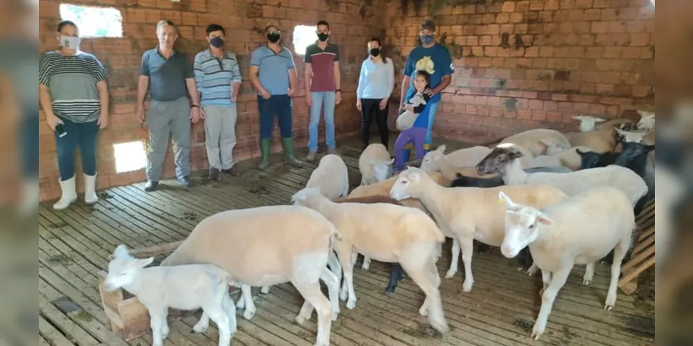 Atividade desenvolvida pela prefeitura tem como objetivo qualificar o atendimento aos ovinocultores do município