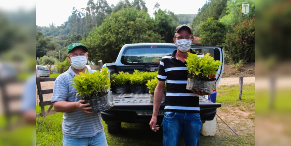 Município entregou cerca de 1,2 mil mudas de erva-mate para produtores locais