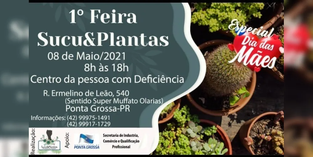 Imagem ilustrativa da imagem PG recebe 1ª feira Sucu&Plantas Princesa dos Campos