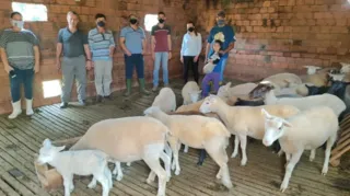 Atividade desenvolvida pela prefeitura tem como objetivo qualificar o atendimento aos ovinocultores do município