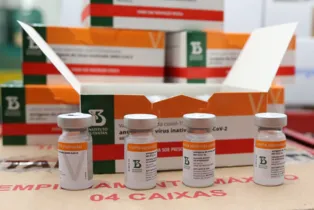 Imagem ilustrativa da imagem PR distribui novo lote de vacinas contra o coronavírus