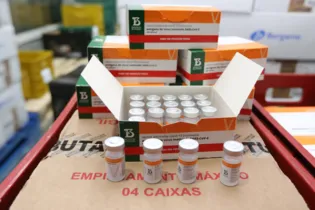Imagem ilustrativa da imagem Paraná receberá mais 244,8 mil doses de vacinas contra a covid