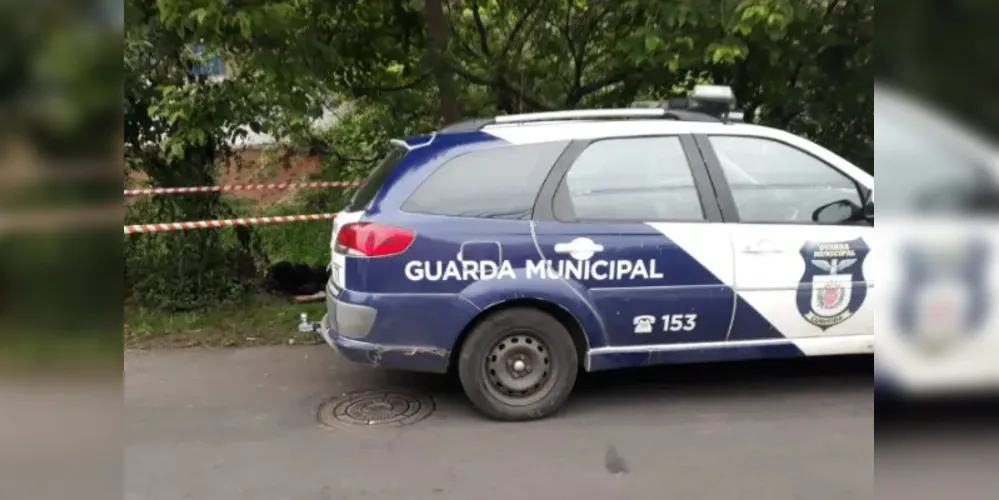 O caso aconteceu em um bairro de Curitiba na manhã desta quarta-feira.
