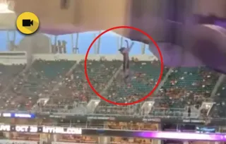 Imagem ilustrativa da imagem Gato é salvo por torcedores ao cair de teto de estádio nos EUA