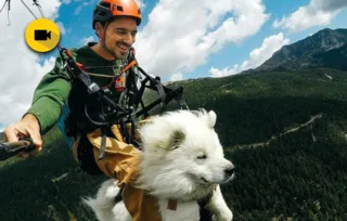 Imagem ilustrativa da imagem Diretor de cinema salta de parapente com cão na França