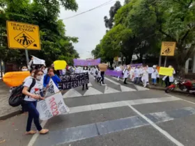 Os manifestantes protestam contra a falta de professores em dois colégios estaduais e a falta de pagamento aos docentes.