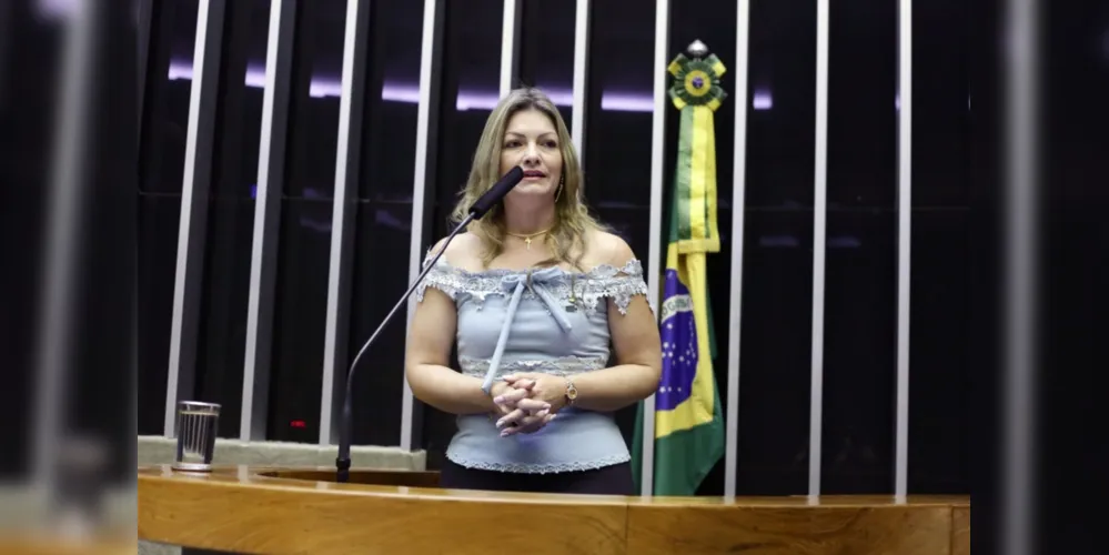 Deputada federal do Paraná, Aline Sleutjes (PSL).