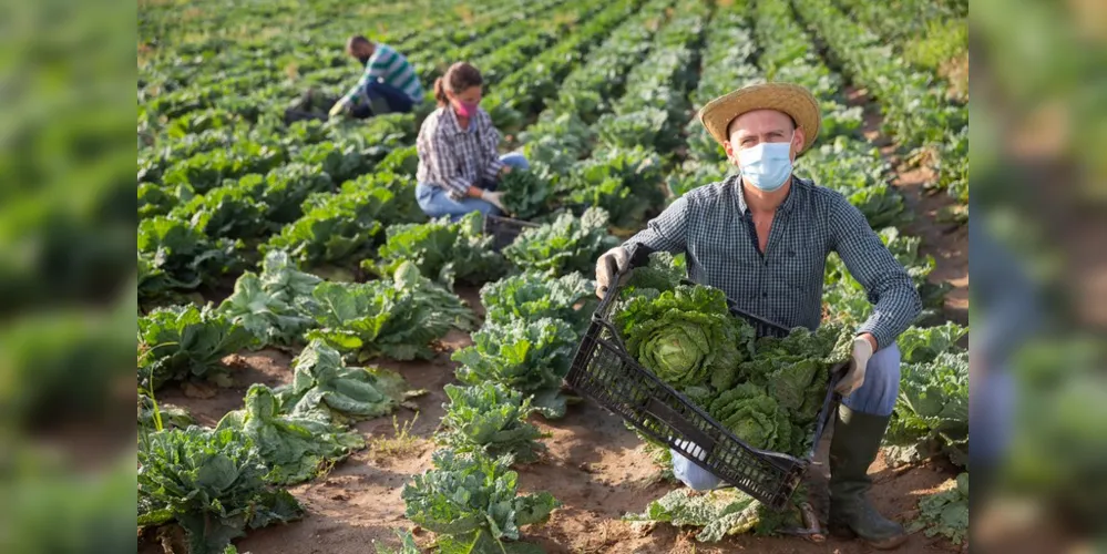 Projeto avaliado em torno de R$ 287 mil deve fomentar a produção de alimentos na zona rural