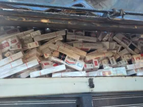 Imagem ilustrativa da imagem Caminhão é flagrado com 175 mil maços de cigarros na região