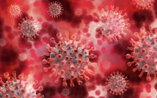 A variante pode se tornar responsável pela maior parte de novos registros de infecção pelo novo coronavírus