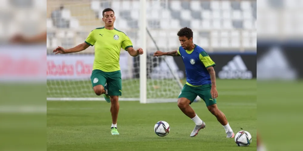 Imagem ilustrativa da imagem Palmeiras aposta em estudo e concentração no Mundial