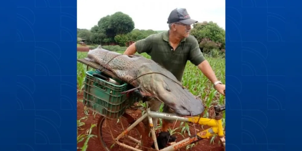 A imagem do homem carregando o peixe em uma bicicleta, viralizou na internet.