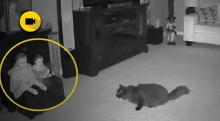 No vídeo, é possível ver uma sombra fantasmagórica saindo de uma boneca e perseguindo o gato da casa