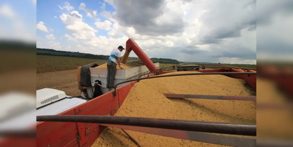 Embora a colheita de soja não tenha sido grande no Sul do País neste ano, a segunda safra de milho deverá compensar a quebra