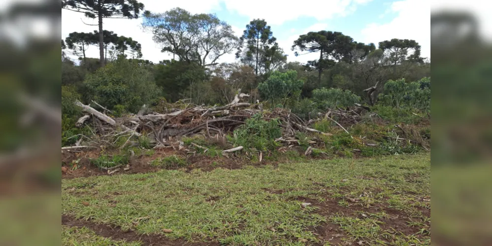 Fiscalização do IAT identifica 336 hectares de desmatamento e resulta em multas de R$2,33 milhões.