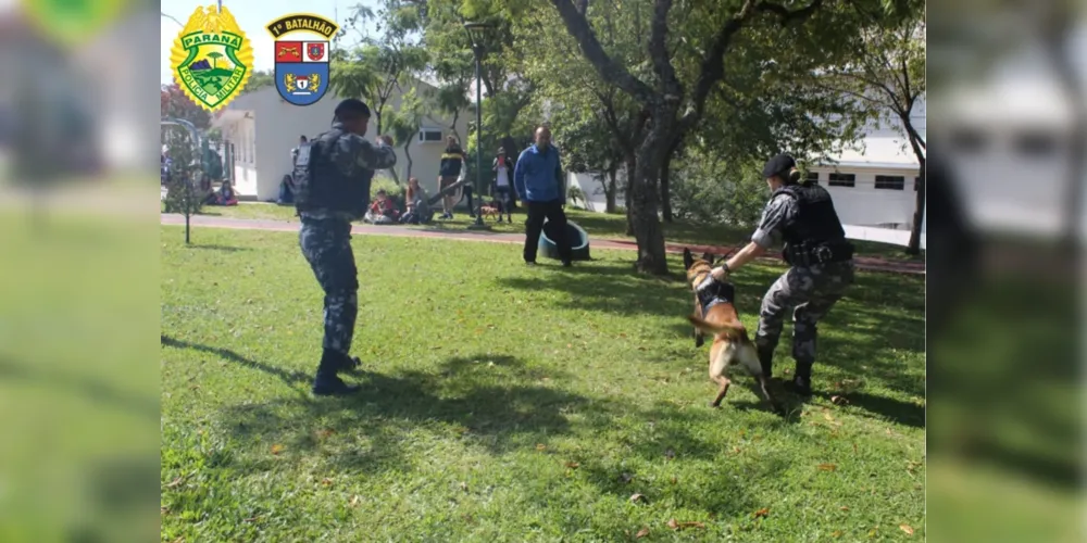 Polícia Militar realizou  a 2° edição do cãominhada