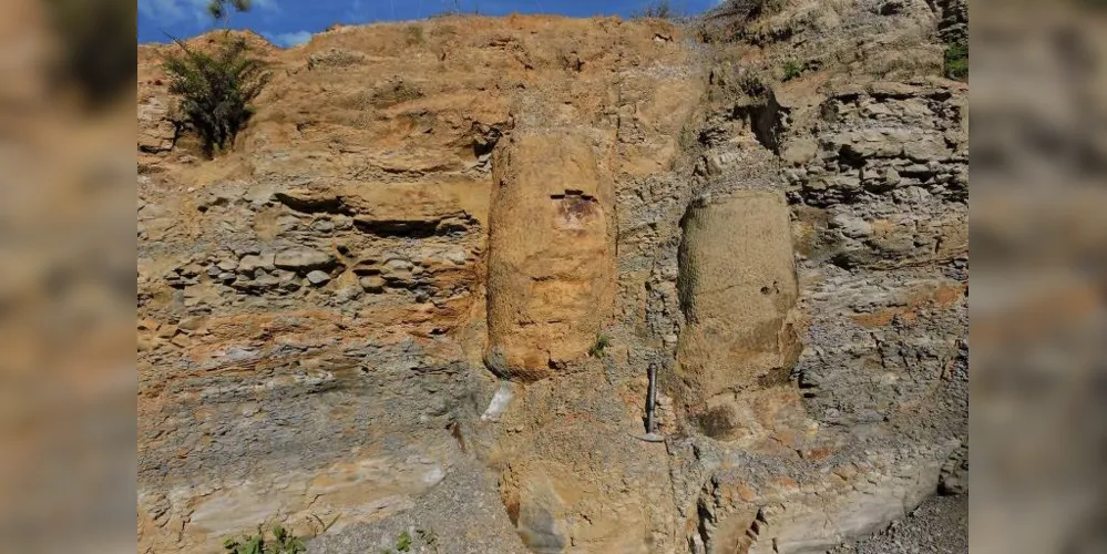 Área em que fósseis de árvores foram encontrados após abertura de estrada em Ortigueira, no Paraná