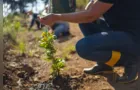 Tetra Pak realiza projeto de restauração da Mata Atlântica