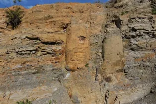 Área em que fósseis de árvores foram encontrados após abertura de estrada em Ortigueira, no Paraná