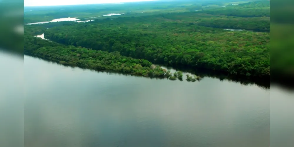 Programa de educação ambiental, Klabin Caiubi, retoma atividades presenciais no Paraná