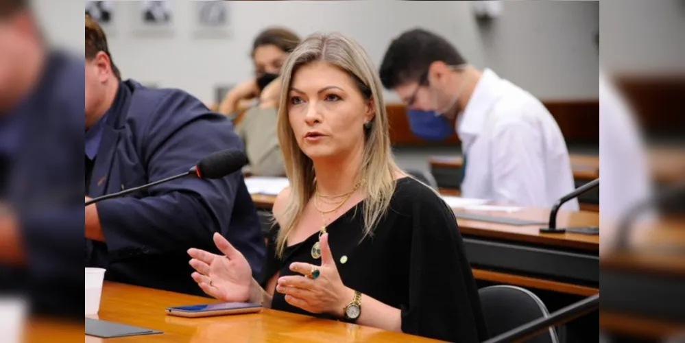 Deputada criticou decisão do ministro Luís Roberto Barroso tomada neste final de semana