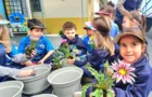 CMEI Anísio Teixeira recebe a primavera plantando 215 flores