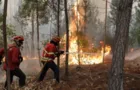 Tempo seca potencializa ocorrências de queimadas