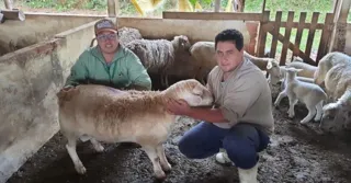 Parceria junto à Cooperativa dos Produtores de Ovinos e Caprinos dos Campos Gerais (Coopegera) viabiliza atividades