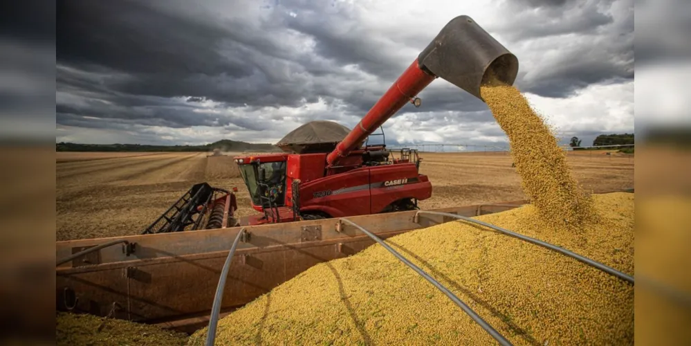 Com uma produtividade esperada em 3.551 kg/ha, a estimativa é que a produção de soja fique em torno de 153,5 milhões de toneladas