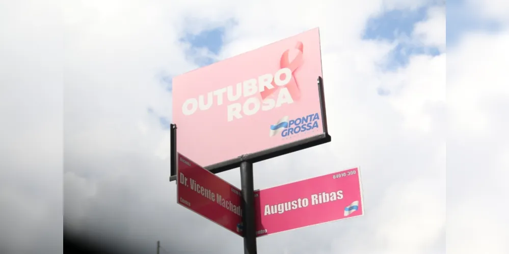 Placas ficarão instaladas na avenida Vicente Machado em alusão ao 'Outubro Rosa'