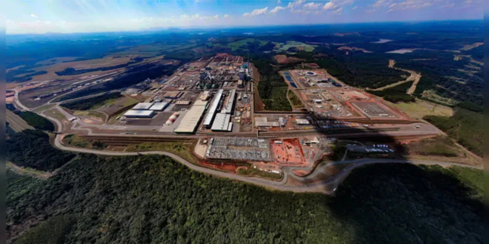 Posicionando-se hoje como o 5º maior estado exportador de papel e celulose do Brasil, o Paraná possui a Klabin como principal empresa atuando no segmento