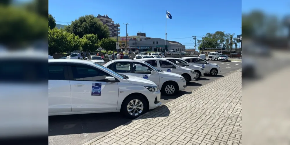 Renovação da identificação dos táxis que operam no Município começou na semana passada