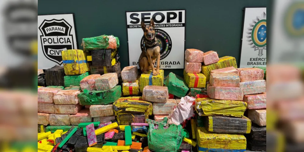 Estima-se um prejuízo de R$ 6 milhões para o crime organizado