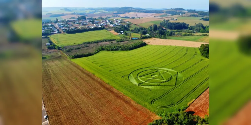 Círculo misterioso aparece em plantação de trigo