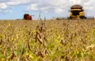 Plantio de soja avança no PR e chega a 15% da área esperada