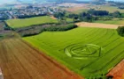 Círculo misterioso aparece em plantação de trigo