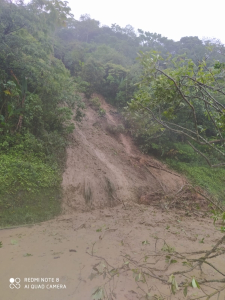 Estradas no Paraná: veja como está a situação da BR-277, da BR-376 e da  Estrada da Graciosa nesta quinta-feira (27), Paraná